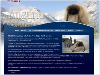 Diseño Web realizado por Newnet.cl