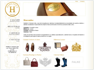 Diseño Web realizado por Newnet.cl