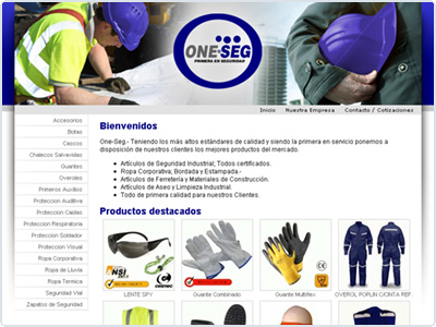 Diseño Web realizado por Newnet.cl