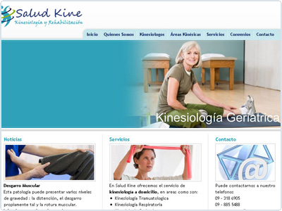 Diseño Web realizado por Newnet.cl