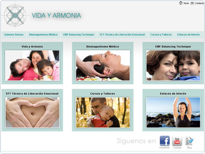 Diseño Web realizado por Newnet.cl