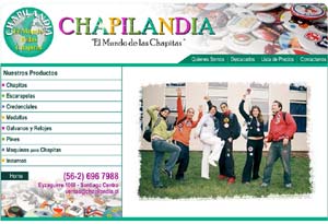 Diseño Web realizado por Newnet.cl