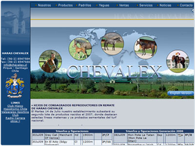 Diseño Web realizado por Newnet.cl