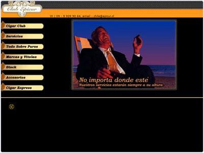 Diseño Web realizado por Newnet.cl