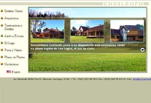Diseño Web realizado por Newnet.cl