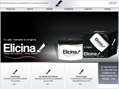 Diseño Web realizado por Newnet.cl