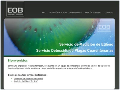 Diseño Web realizado por Newnet.cl