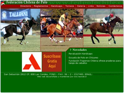 Diseño Web realizado por Newnet.cl
