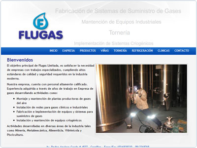 Diseño Web realizado por Newnet.cl