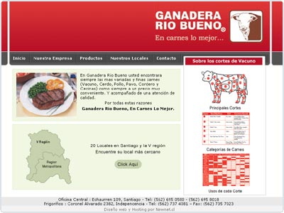Diseño Web realizado por Newnet.cl