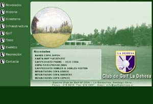 Diseño Web realizado por Newnet.cl