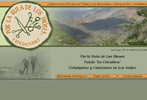 Diseño Web realizado por Newnet.cl