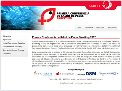 Diseño Web realizado por Newnet.cl