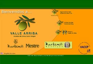 Diseño Web realizado por Newnet.cl