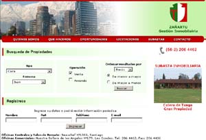 Diseño Web realizado por Newnet.cl